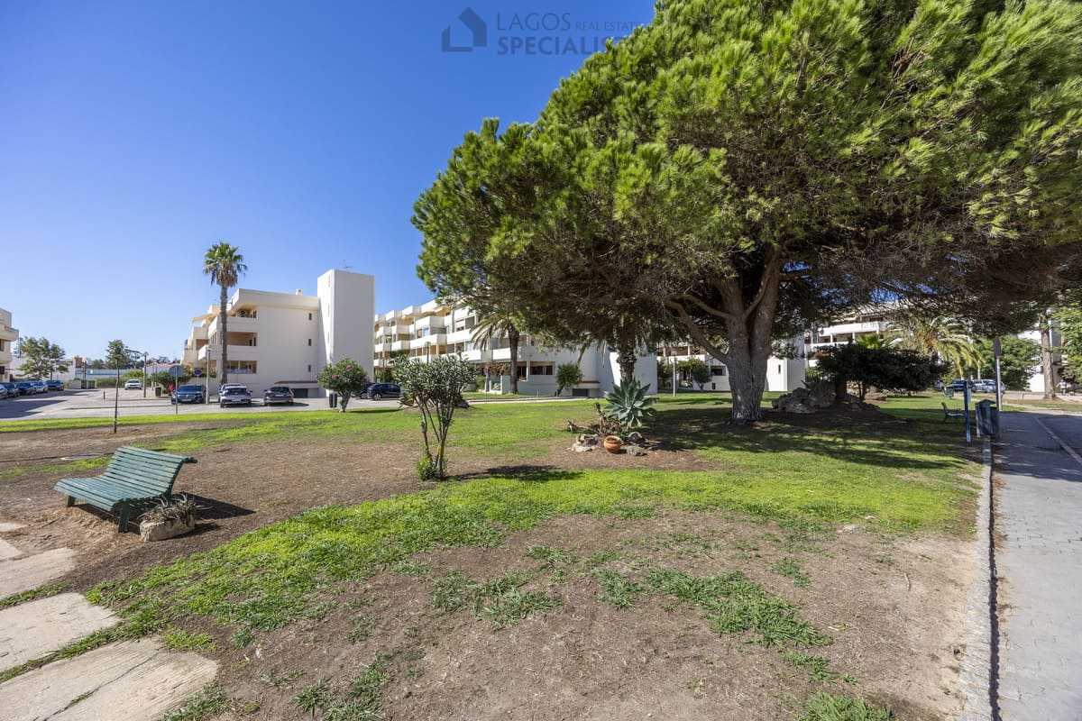 Iberlagos communal gardens with mature trees, lawns and benches - Lagos, Portugal