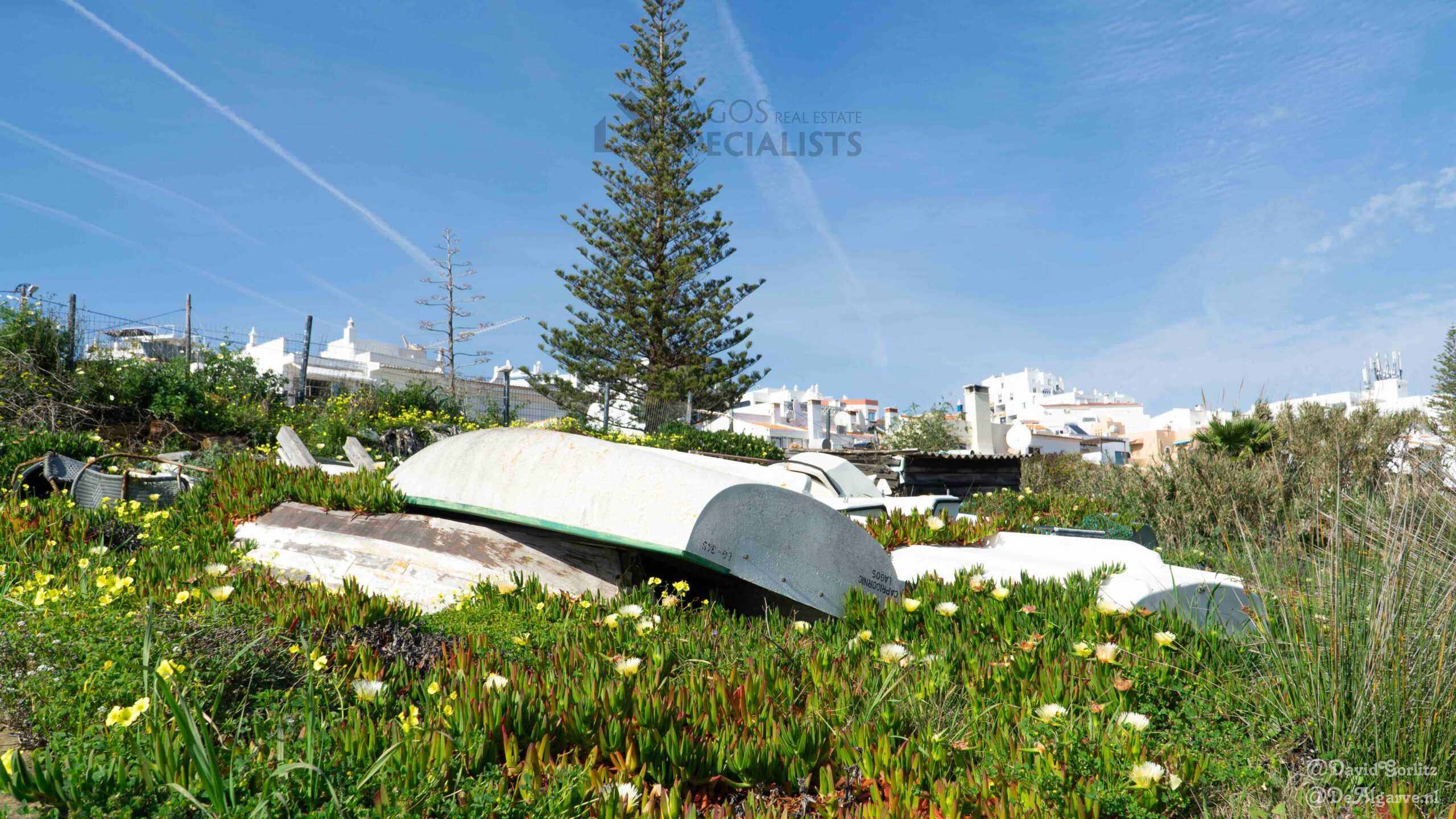 Praia da Luz - Greenery and nature