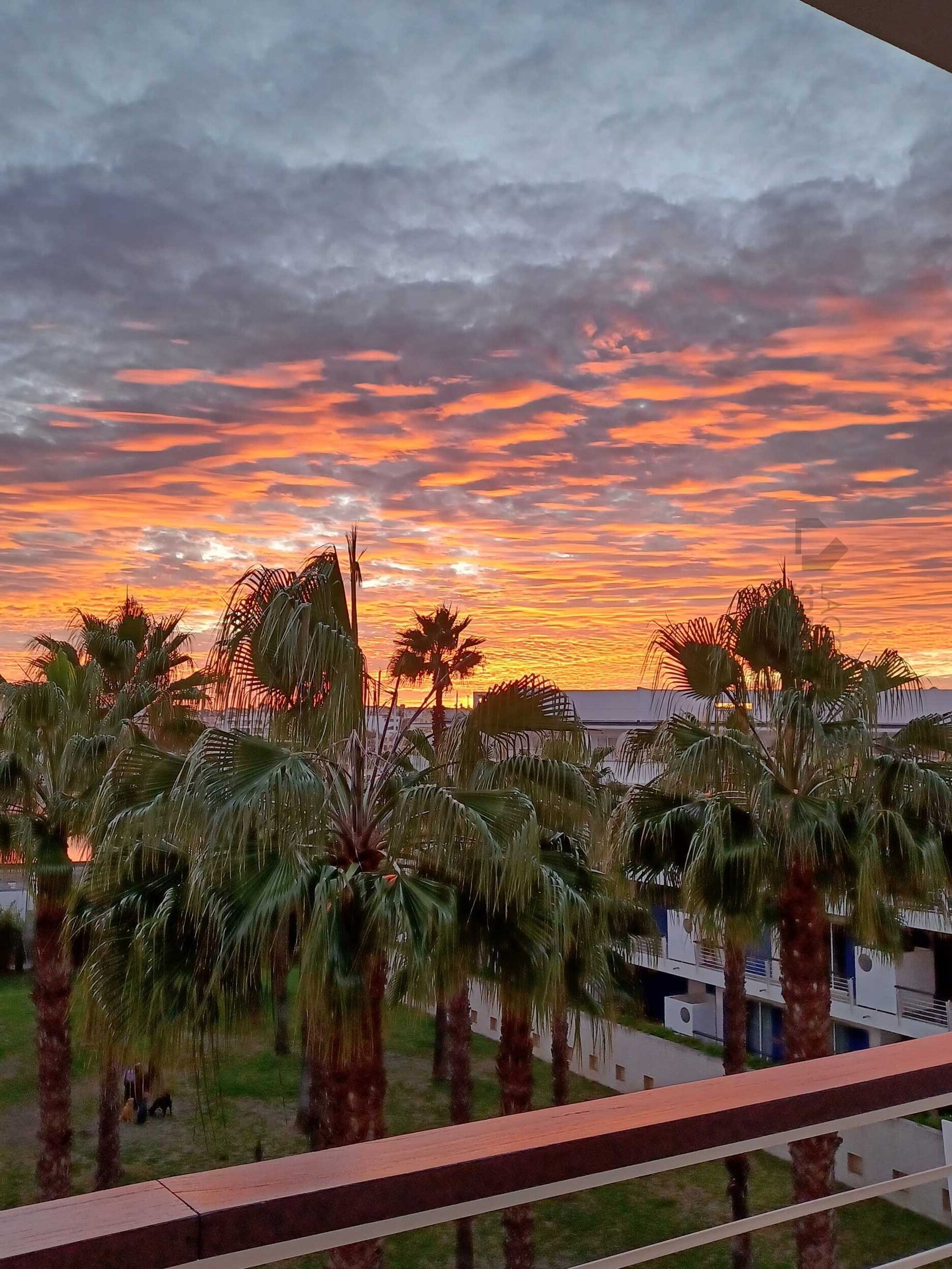 Sunny balcony overlooking palm trees and marina condominium in Lagos